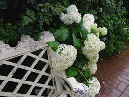 DSCF3640_R