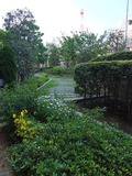 DSCF1810_R