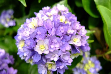 DSCF8543
