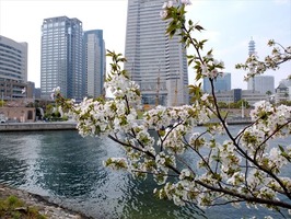 DSCF8032_R