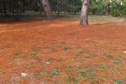 DSCF9478_R