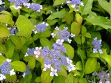 DSCF8087_R