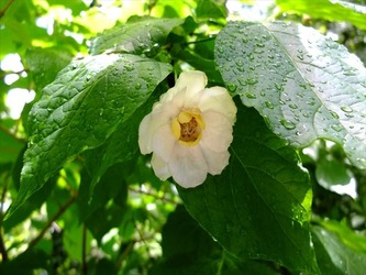 DSCF8308_R