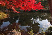 DSCF8561_R