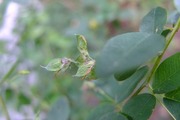 DSCF6921_R