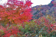 DSCF8292_R