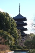 DSCF9531_R
