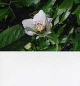 8345bb69.jpg