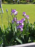 DSCF1682_R