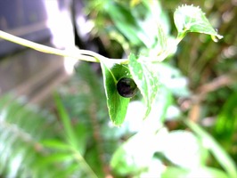 DSCF4392_R
