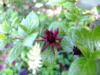 DSCF8829_R