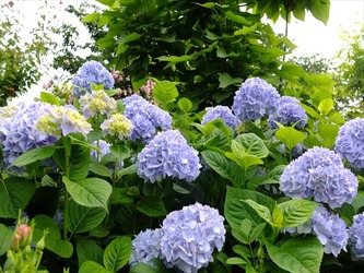 DSCF8077_R