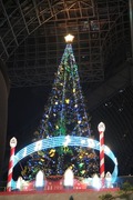 DSCF8314_R