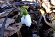 DSCF9626_R