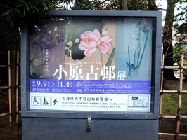 DSCF5116_R