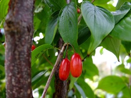 DSCF5603_R