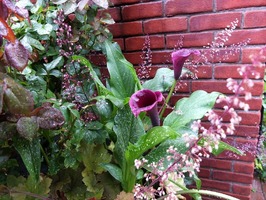 DSCF3663_R