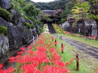 DSCF4878_R