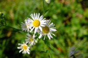 DSCF6793_R