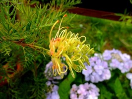 DSCF3669_R