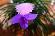 DSCF7475_R