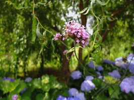 DSCF3472_R