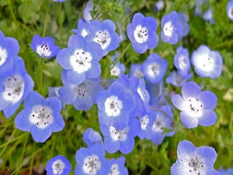 DSCF6962_R