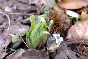 DSCF9491_R