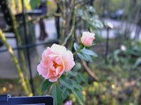 DSCF6108_R