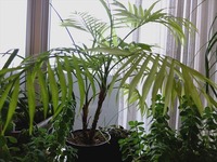 DSCF6074_R