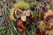 DSCF6771_R