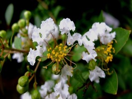 DSCF9074_R