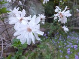 DSCF1082_R
