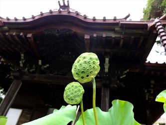 DSCF4507_R
