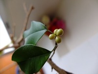 DSCF5002_R