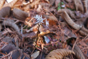 DSCF9495_R
