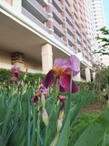 DSCF1651_R