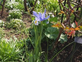 DSCF7914_R