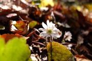 DSCF9504_R