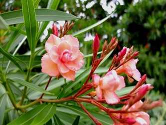 DSCF8402_R