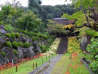 DSCF4980_R