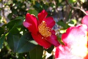 DSCF8929_R
