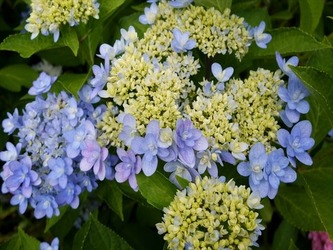 DSCF8416_R