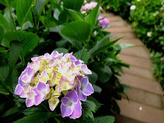 DSCF8339_R