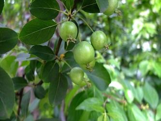 DSCF8571_R
