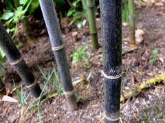 DSCF9379_R
