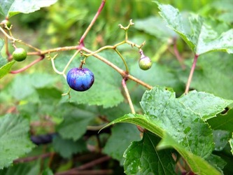 DSCF4434_R