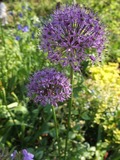 DSCF1686_R
