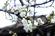 DSCF9561_R