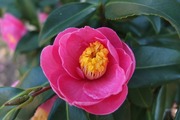DSCF8897_R
